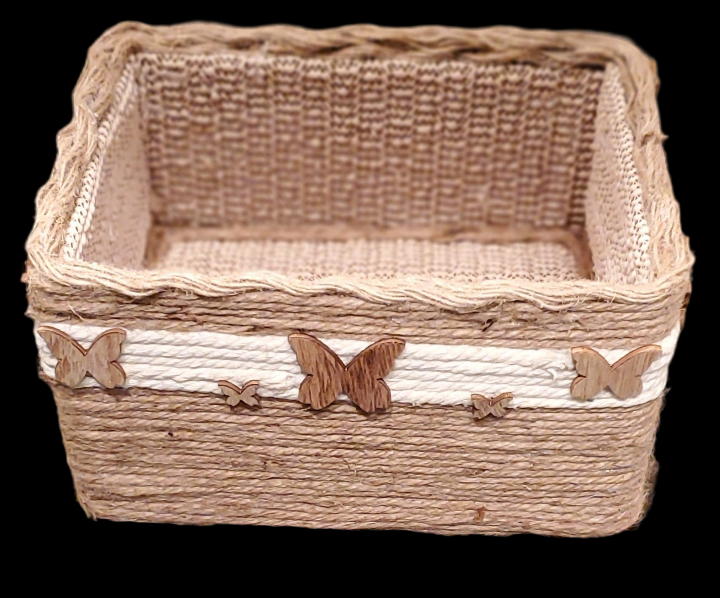 Aesthetic Butterfly Storage Box